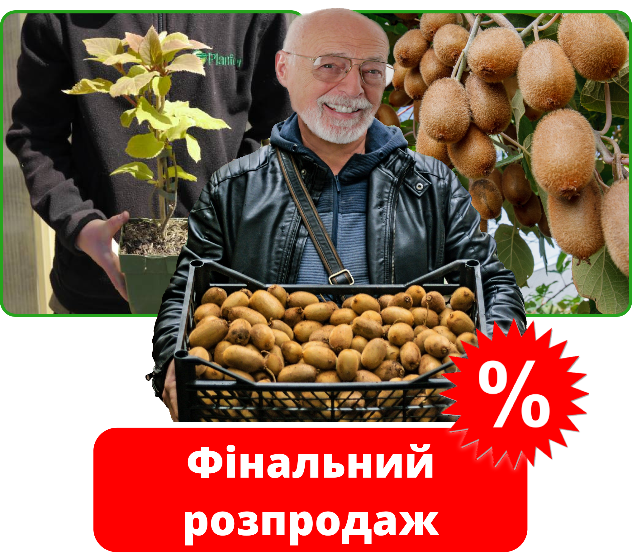 Заголовок